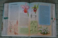Лот: 4706601. Фото: 2. Детская энциклопедия. Литература, книги