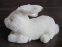Лот: 21106201. Фото: 4. Заяц, кролик белый. Красноярск