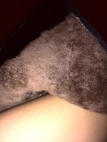 Лот: 6356247. Фото: 3. Сапоги зимние. Одежда, обувь, галантерея