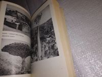 Лот: 16697197. Фото: 8. Шруль К.-Д. Сабах - утренняя заря...