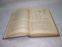 Лот: 19199807. Фото: 8. Oz. вб...(26...03) (4092335) Плодоводство...