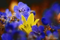 Лот: 10376090. Фото: 6. Sigma 28-200 1:3.5-5.6 Macro compact...