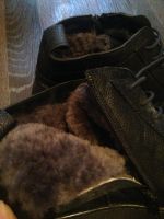 Лот: 8448224. Фото: 5. Зимние ботинки мужские НОВЫЕ р44...