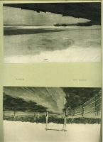Лот: 20068604. Фото: 10. И.И. Левитан. Альбом репродукций...