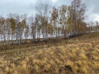 Лот: 19504104. Фото: 2. Ижс. Продажа