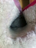 Лот: 8462699. Фото: 6. Валенки 27р Повтор не забрали.