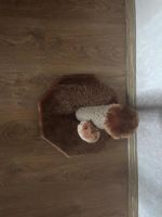 Лот: 6213308. Фото: 2. Когтеточка Yami-Yami. Животные и уход