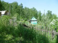 Лот: 7777114. Фото: 2. Продам Дачный Участок среди Берёзовой... Продажа