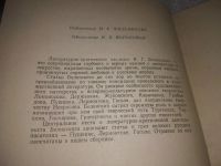 Лот: 21099373. Фото: 2. (1092328) Белинский В,Г,. Избранные... Литература, книги