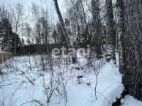 Лот: 25298128. Фото: 11. участок , посёлок Элита Сосновая...