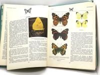 Лот: 24064137. Фото: 3. 📘 Игорь Акимушкин. Мир животных... Литература, книги