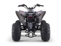 Лот: 25636247. Фото: 4. Квадроцикл SHARMAX Raizer Race... Красноярск