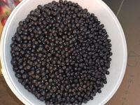 Лот: 16651158. Фото: 2. Рябина Черноплодная. Продукты