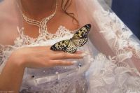 Лот: 7100439. Фото: 2. Салют из трех живых тропических... Товары для праздника
