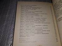 Лот: 16655590. Фото: 16. Низами Гянджеви. Собрание сочинений...