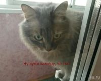 Лот: 9616097. Фото: 5. GoPro 3 Black Edition с аксессуарами