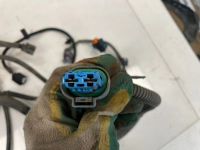 Лот: 22460316. Фото: 6. проводка подкапотная Nissan Terrano...