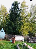 Лот: 15919516. Фото: 4. Дача Малый Кускун Албар Цена снижена... Красноярск