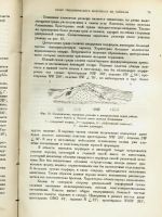 Лот: 9607432. Фото: 5. Енисейская Сибирь. * З.А.Лебедева...