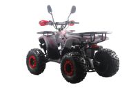 Лот: 25659221. Фото: 16. Квадроцикл MOTAX ATV Grizlik Premium...