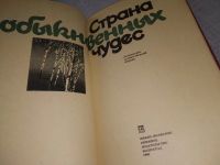 Лот: 8309493. Фото: 11. Страна обыкновенных чудес. Литературно-художественный...