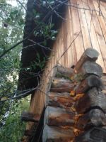 Лот: 7584248. Фото: 4. Обшивка дачного дома. Красноярск