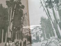 Лот: 18604460. Фото: 2. Лавринайтис В. Падь золотая. Серия... Литература, книги