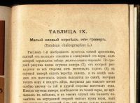 Лот: 20842963. Фото: 20. Вредители хвойного леса.( книжка...