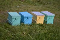 Лот: 10221640. Фото: 4. Пасека, пчелы среднерусской породы...