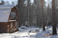 Лот: 9142425. Фото: 2. Дача на Колягино, Сосна-1. Продажа