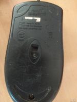 Лот: 16870416. Фото: 2. Мышь Genius Netscroll 100. Периферия