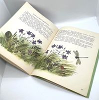 Лот: 25169609. Фото: 13. 📗 Анатолий Онегов. На лугу. Худ...
