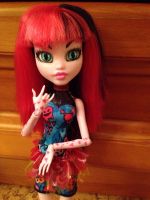 Лот: 5538523. Фото: 2. Кукла Monster High (Монстер Хай... Игрушки
