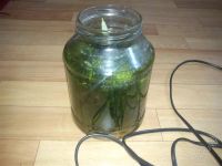 Лот: 1688522. Фото: 3. Красивый аквариум!!! Полностью... Растения и животные