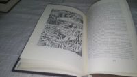 Лот: 11887895. Фото: 5. ок...Иван Ефремов, Туманность...