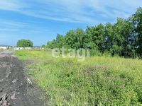 Лот: 25289713. Фото: 4. участок , ДНТ Звёздный Центральная... Красноярск