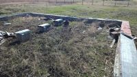 Лот: 7765750. Фото: 6. Земельный участок ДНТ "Потапово...