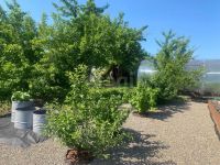 Лот: 25527370. Фото: 10. 1-комн. дача , ТСН Отдых улица...