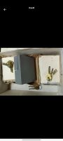 Лот: 25342546. Фото: 6. Замок гаражный накладной ЗН-1М
