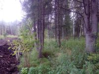 Лот: 5493025. Фото: 2. Участок на ст. Минино, 14 соток... Продажа
