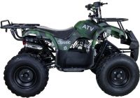 Лот: 21547202. Фото: 4. Квадроцикл RAPTOR 8 ATV125UF CLASSIC... Красноярск