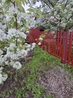 Лот: 25403508. Фото: 17. 2-комн. дача , садоводческое некоммерческое...