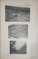 Лот: 21580144. Фото: 6. Н. Н. Курек.Геологические исследования...