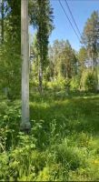 Лот: 25810324. Фото: 3. участок , село Овсянка улица Новосёлов-2... Недвижимость