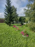 Лот: 25677324. Фото: 12. 3-комн. дача , деревня Замятино...