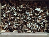Лот: 14971698. Фото: 2. грибную консервацию обменяю на... Продукты