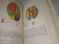 Лот: 25793275. Фото: 7. вбР/ОзР(00-41)Анатомо-клинический...