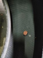 Лот: 23457937. Фото: 3. 4 покрышки. Авто, мото, водный транспорт