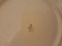 Лот: 13069670. Фото: 2. тарелка диаметр - 20 см есть 3... Посуда, кухонная утварь