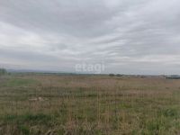 Лот: 25289492. Фото: 4. участок , ДНТ Берёзовая Роща Солнечная... Красноярск